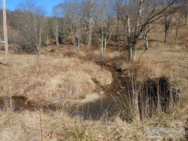 Image number 4 for the current listing