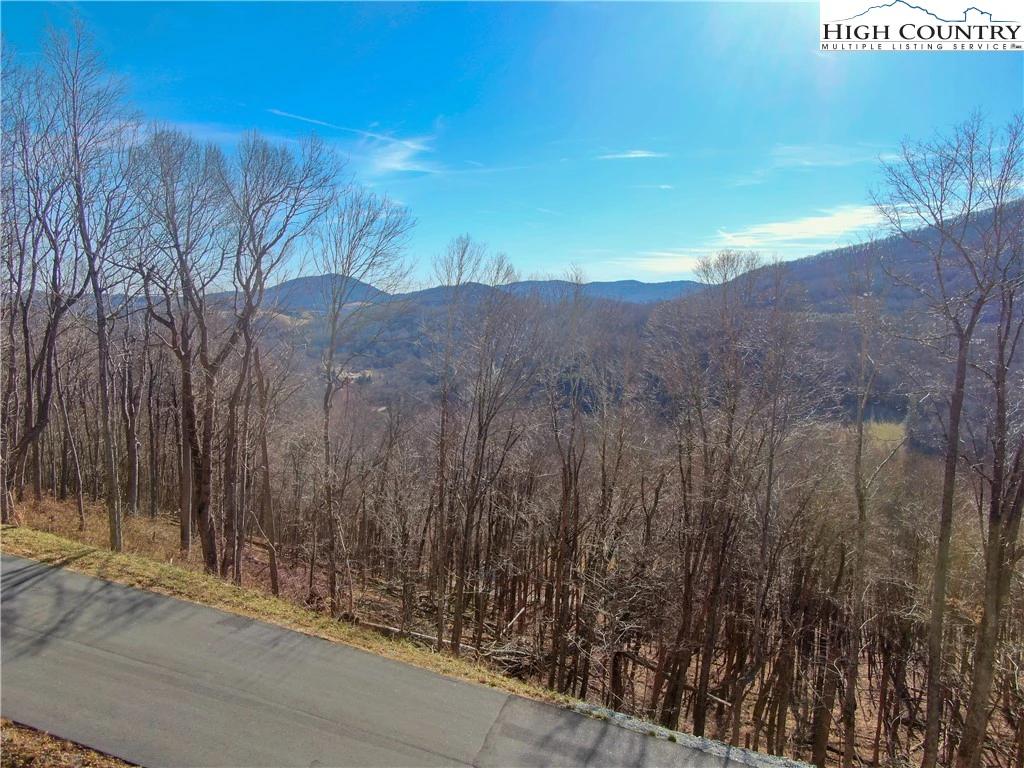 Image number 1 for the current listing