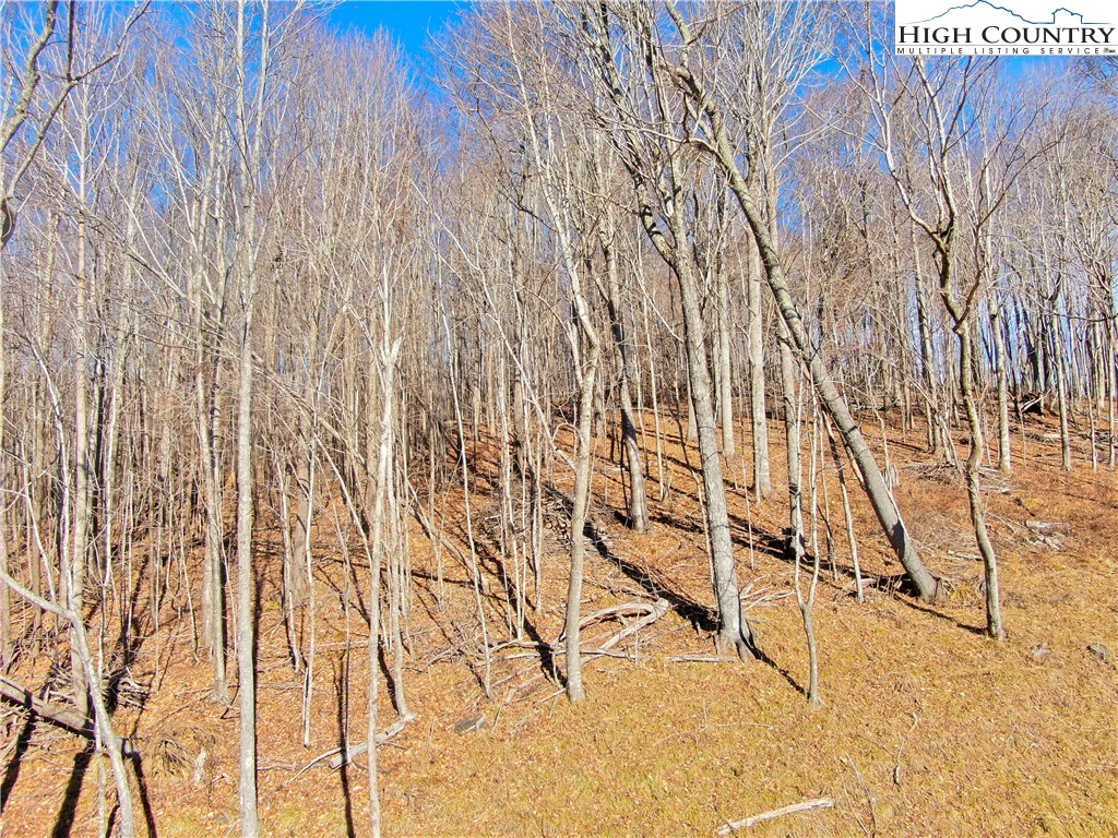 Image number 3 for the current listing