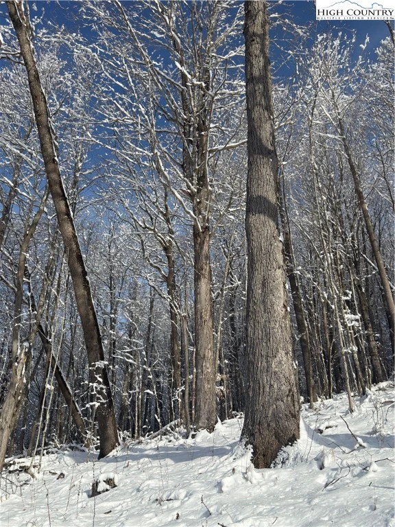 Image number 7 for the current listing