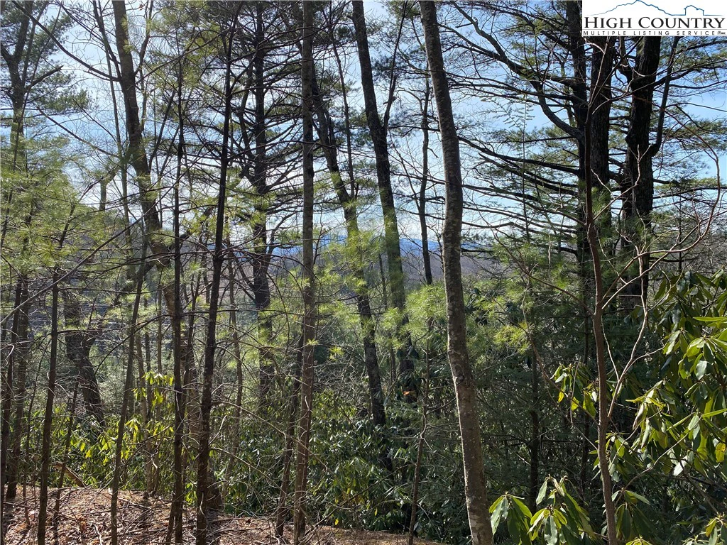 Image number 1 for the current listing