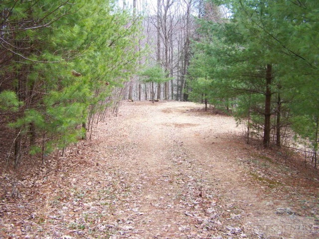 Image number 1 for the current listing