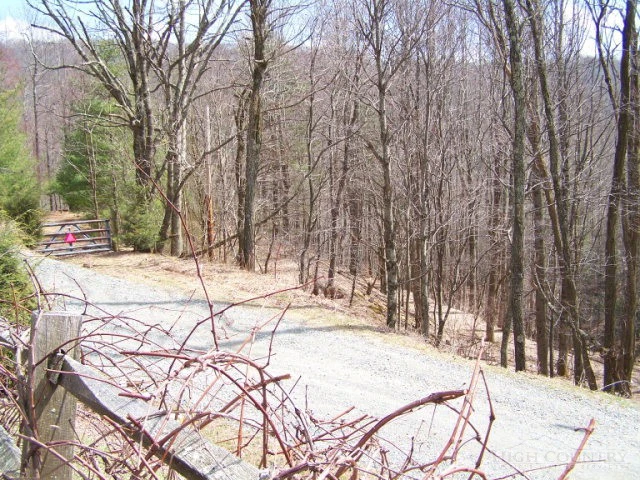 Image number 3 for the current listing