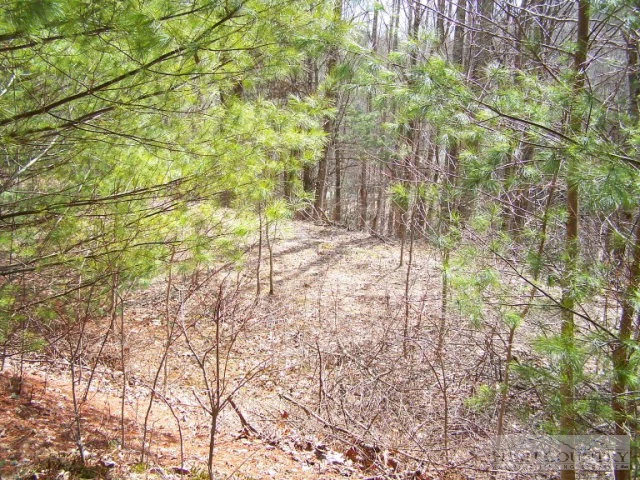 Image number 4 for the current listing