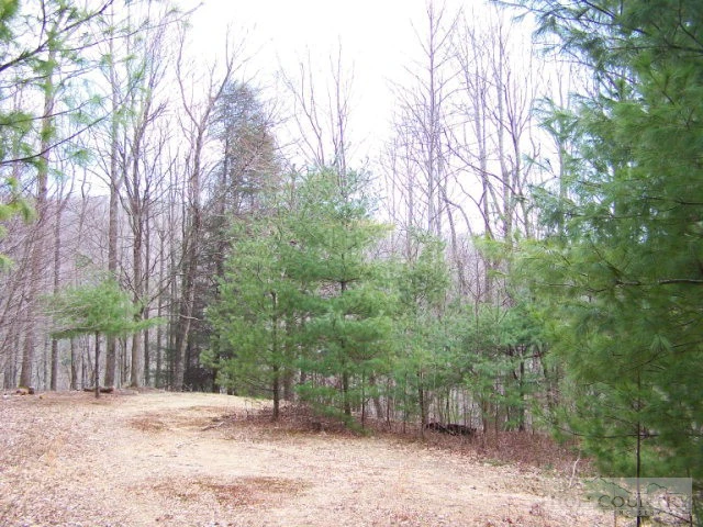 Image number 6 for the current listing