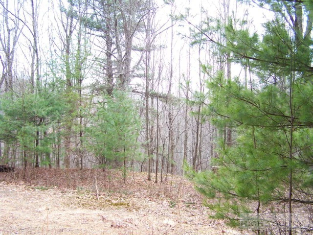 Image number 7 for the current listing
