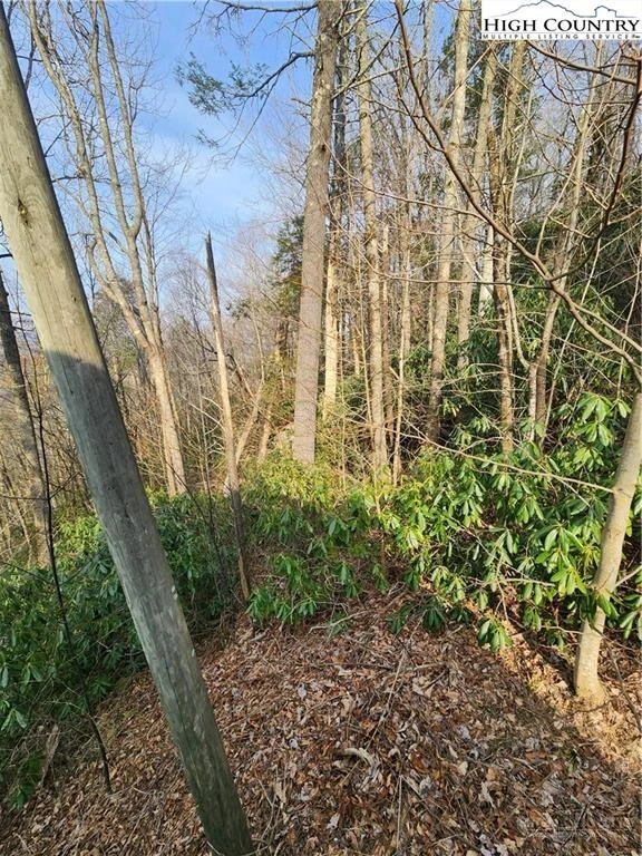 Image number 1 for the current listing