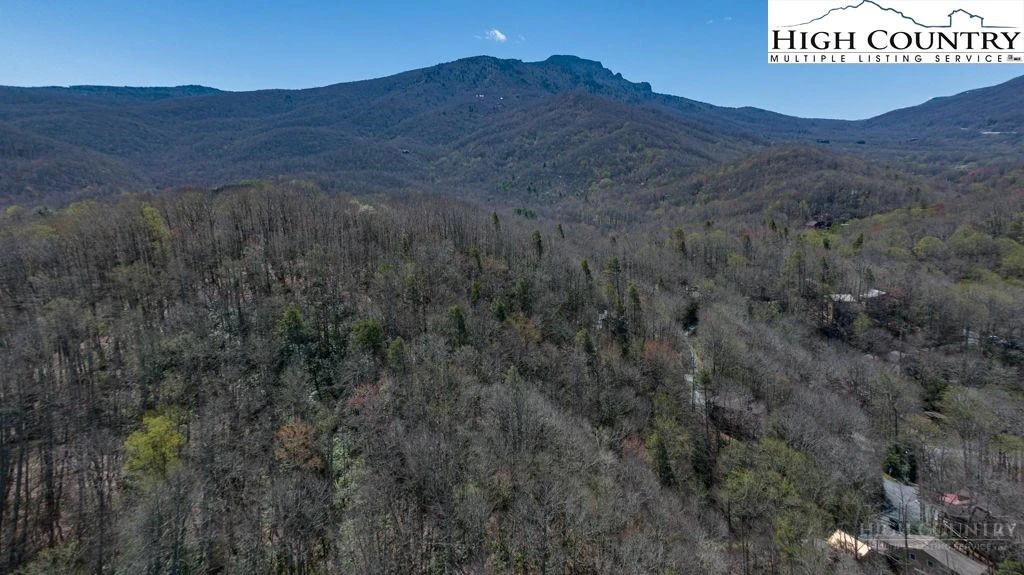Image number 2 for the current listing
