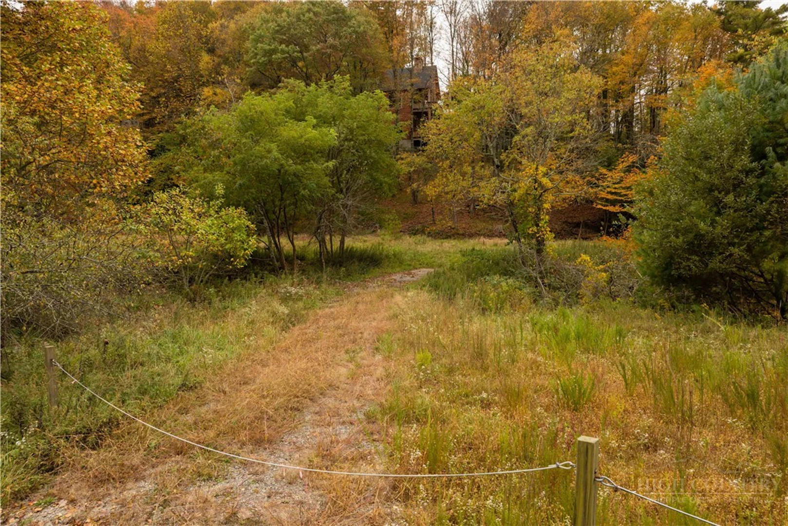 Image number 1 for the current listing