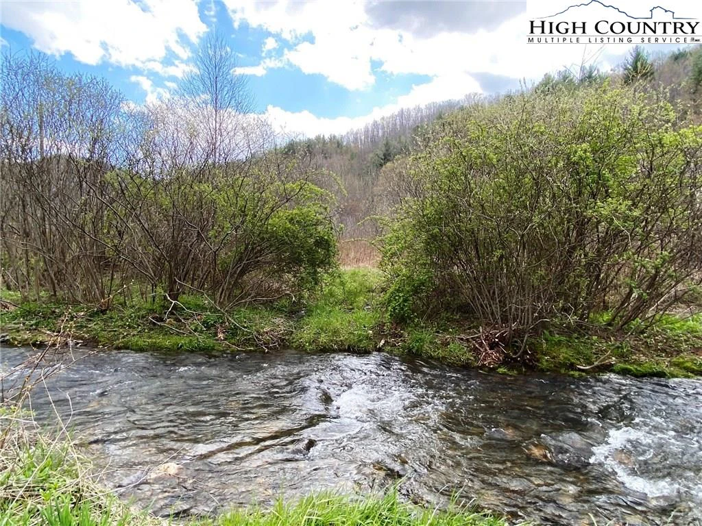 Image number 1 for the current listing