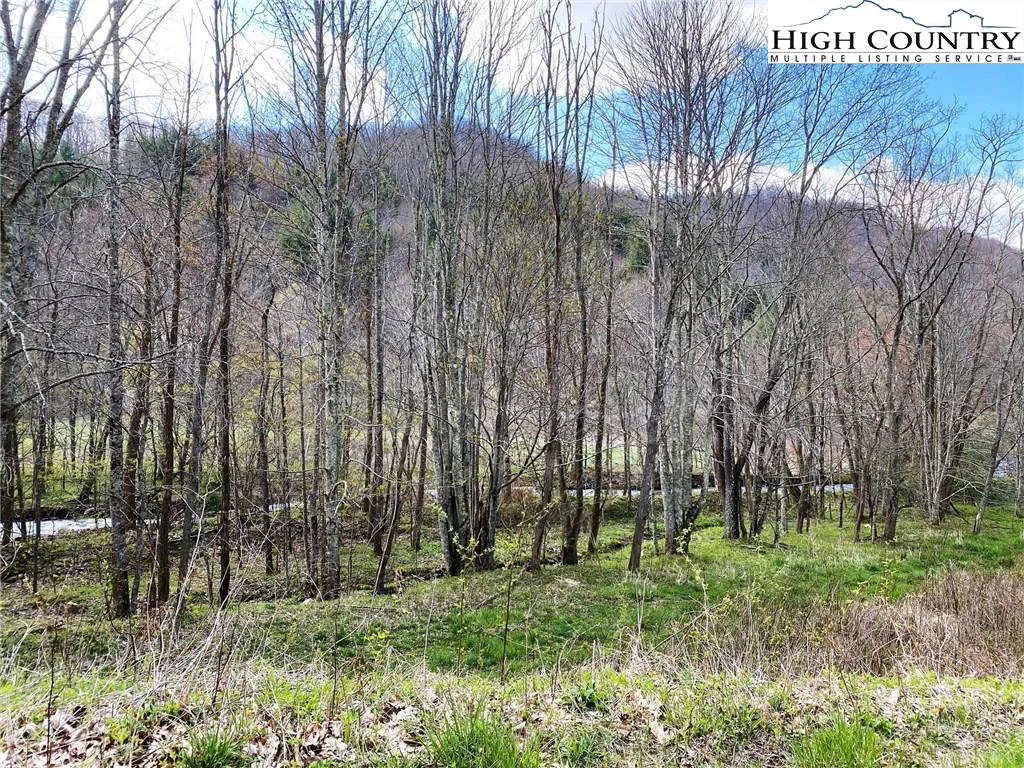 Image number 11 for the current listing