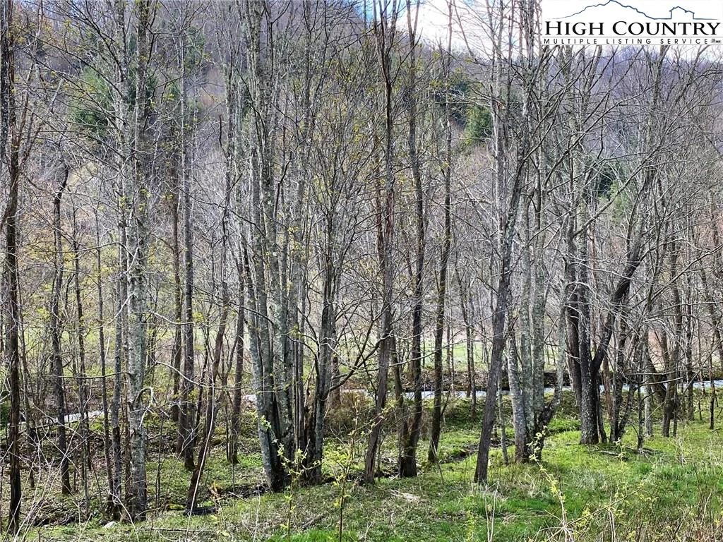 Image number 12 for the current listing