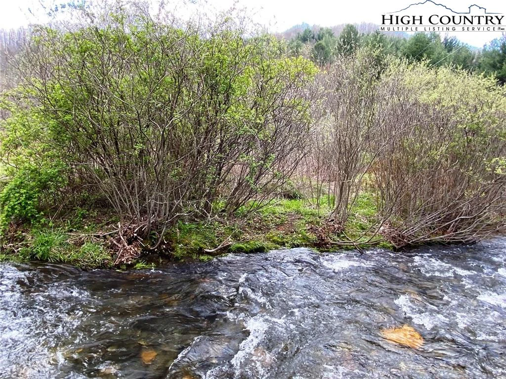 Image number 7 for the current listing