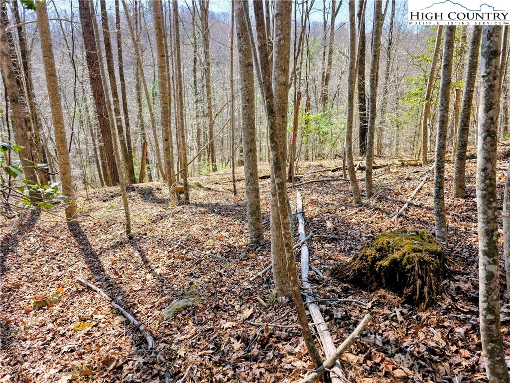 Image number 1 for the current listing