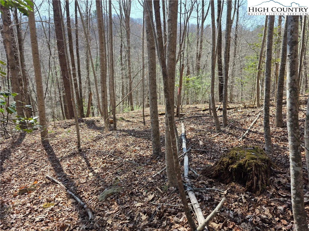 Image number 3 for the current listing