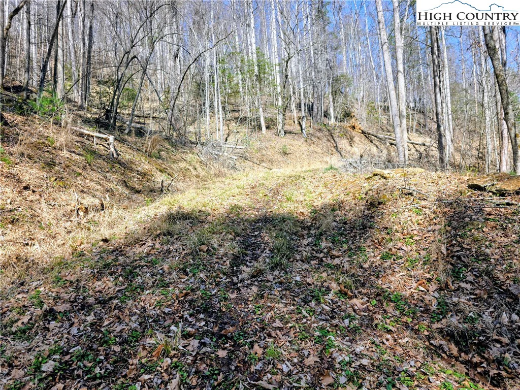 Image number 11 for the current listing