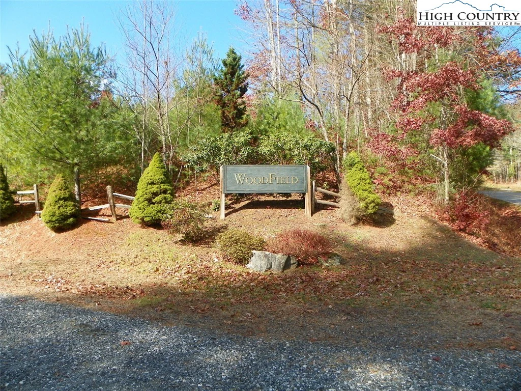 Image number 1 for the current listing