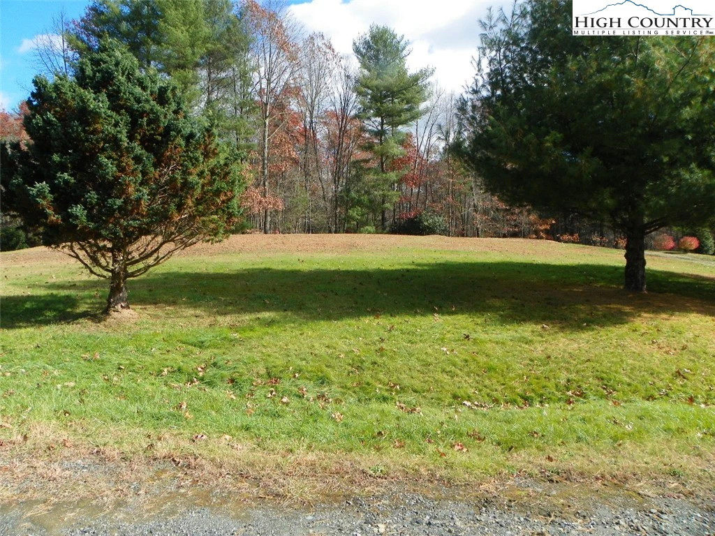 Image number 3 for the current listing