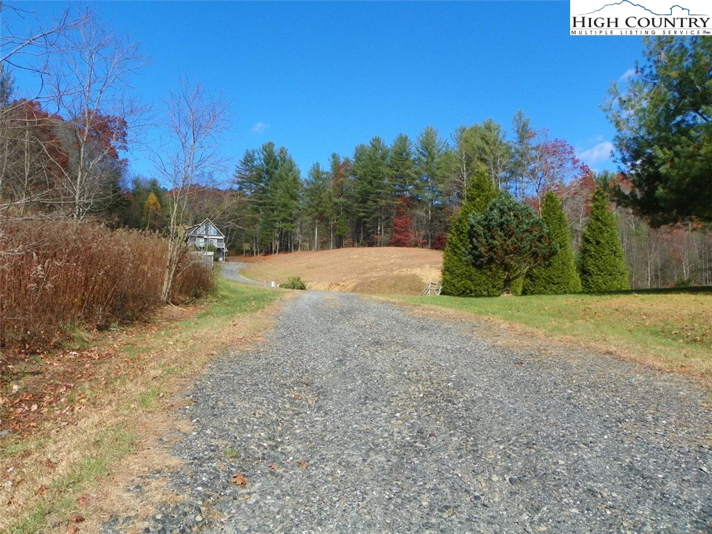 Image number 4 for the current listing