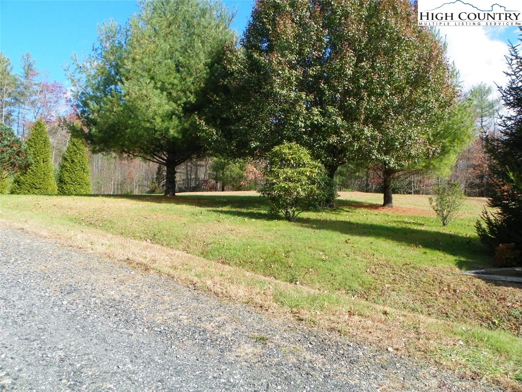 Image number 5 for the current listing