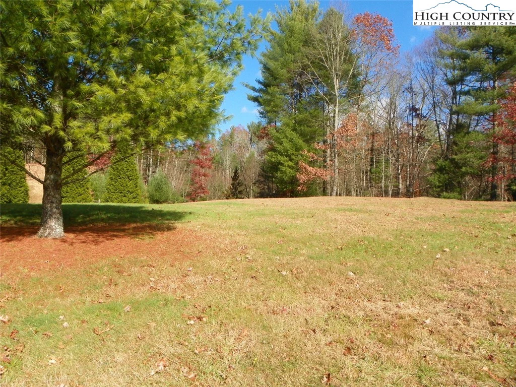 Image number 6 for the current listing