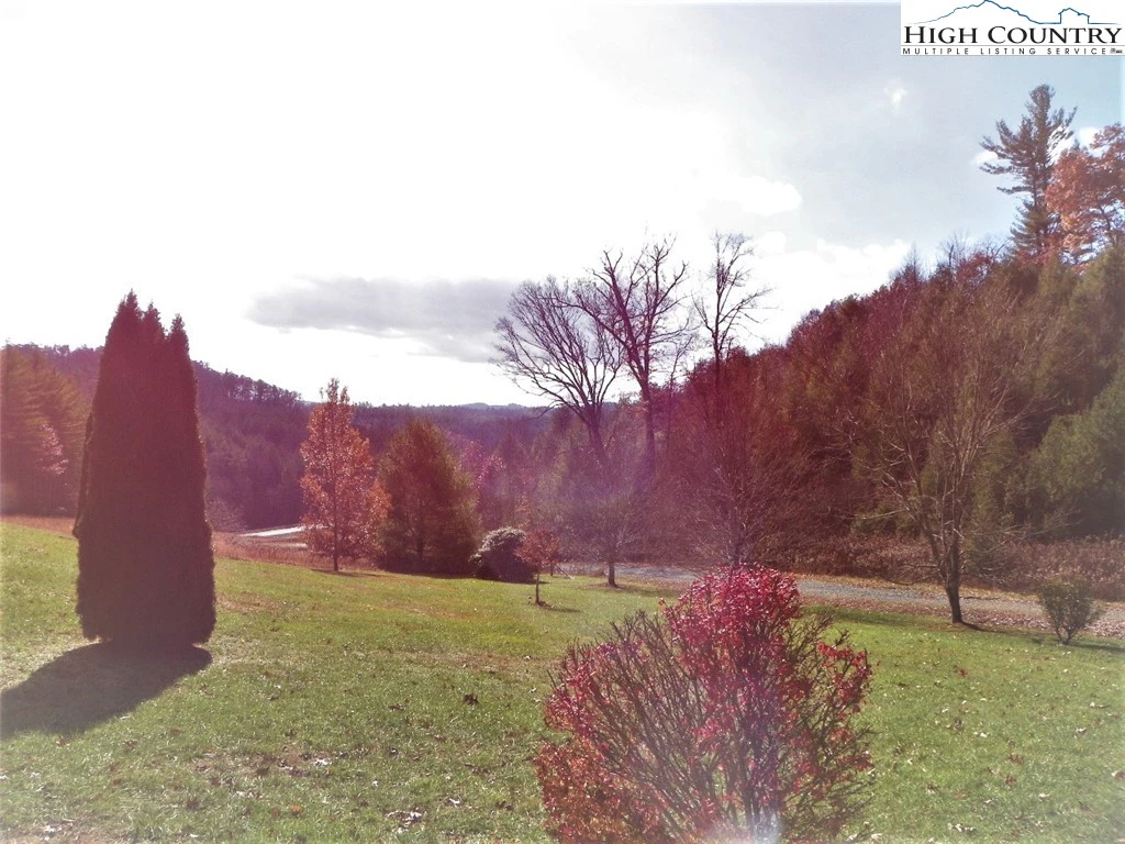 Image number 7 for the current listing