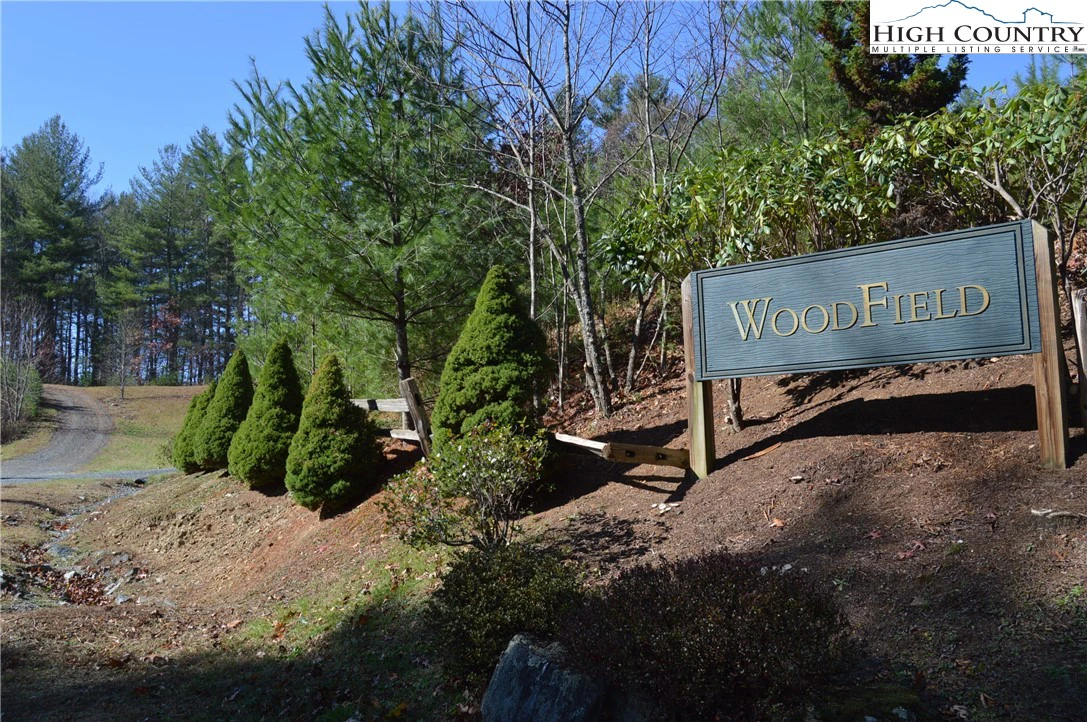 Image number 1 for the current listing