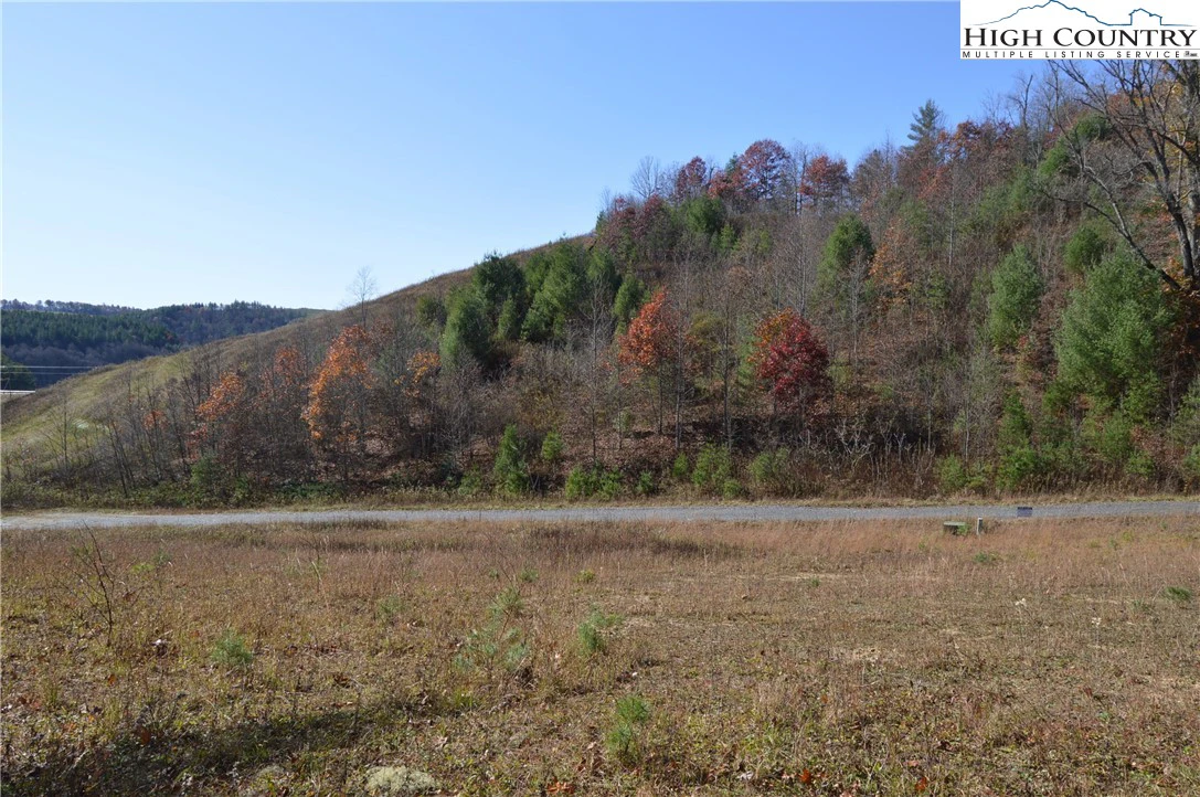 Image number 15 for the current listing