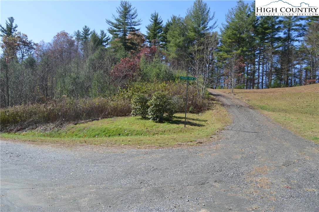 Image number 10 for the current listing