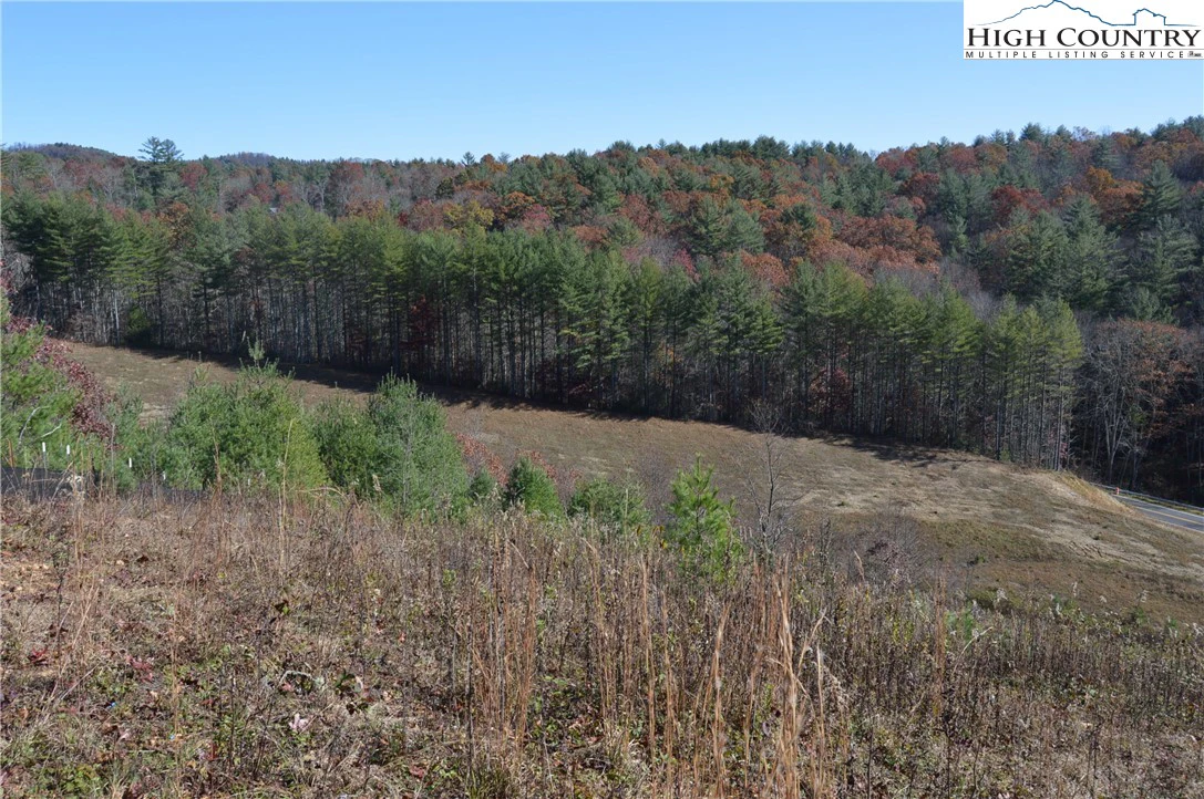 Image number 9 for the current listing