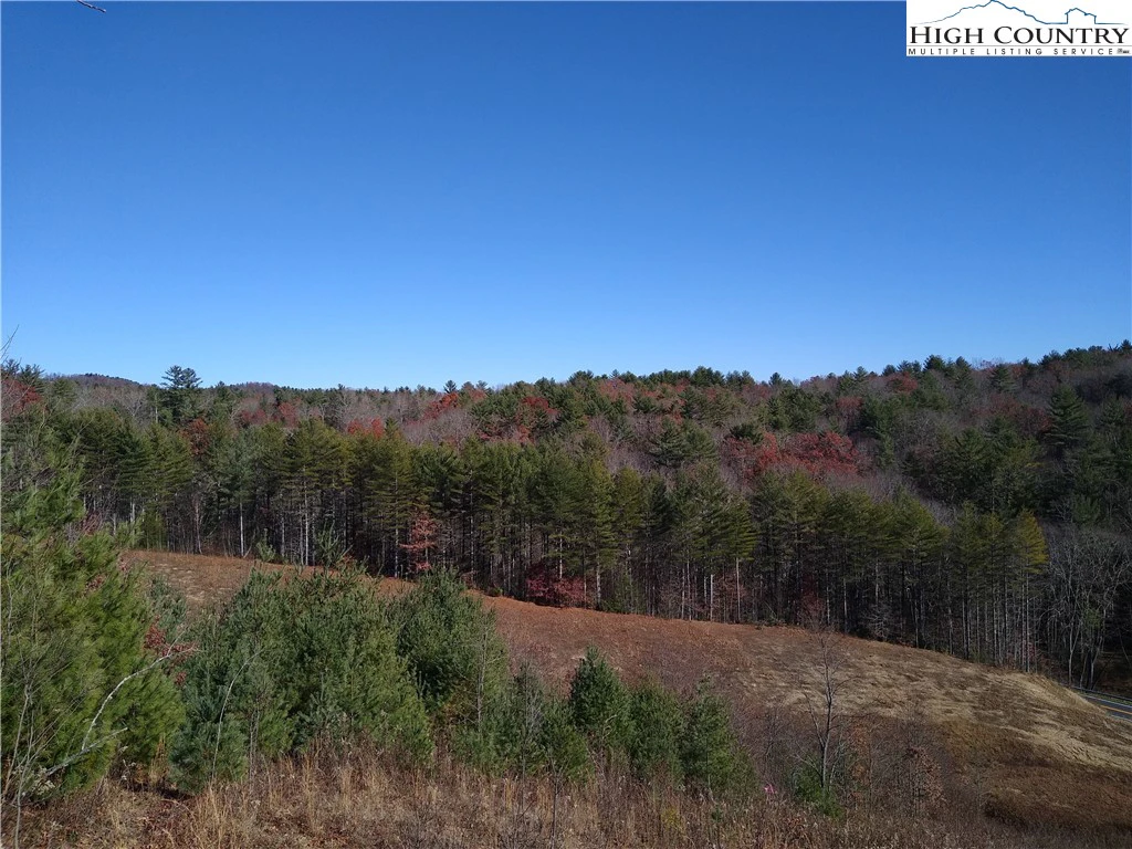 Image number 3 for the current listing