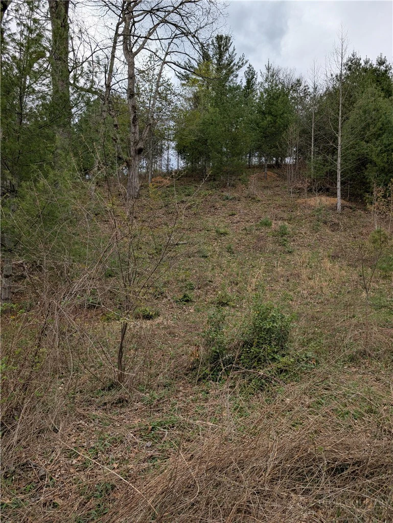 Image number 21 for the current listing