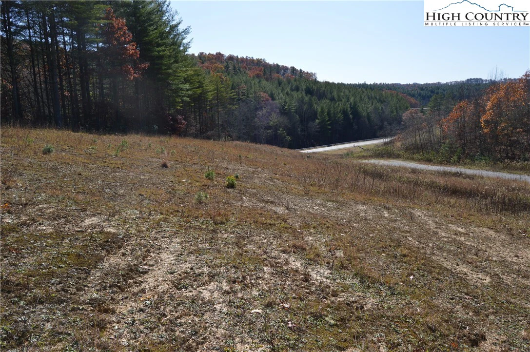 Image number 12 for the current listing