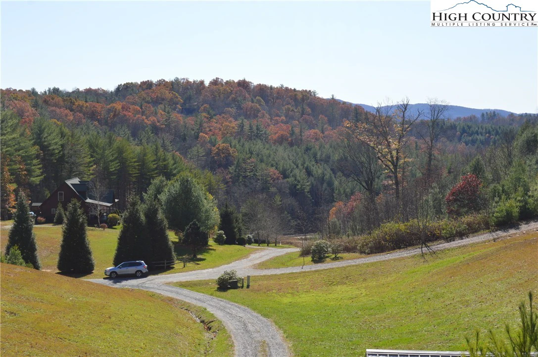 Image number 11 for the current listing