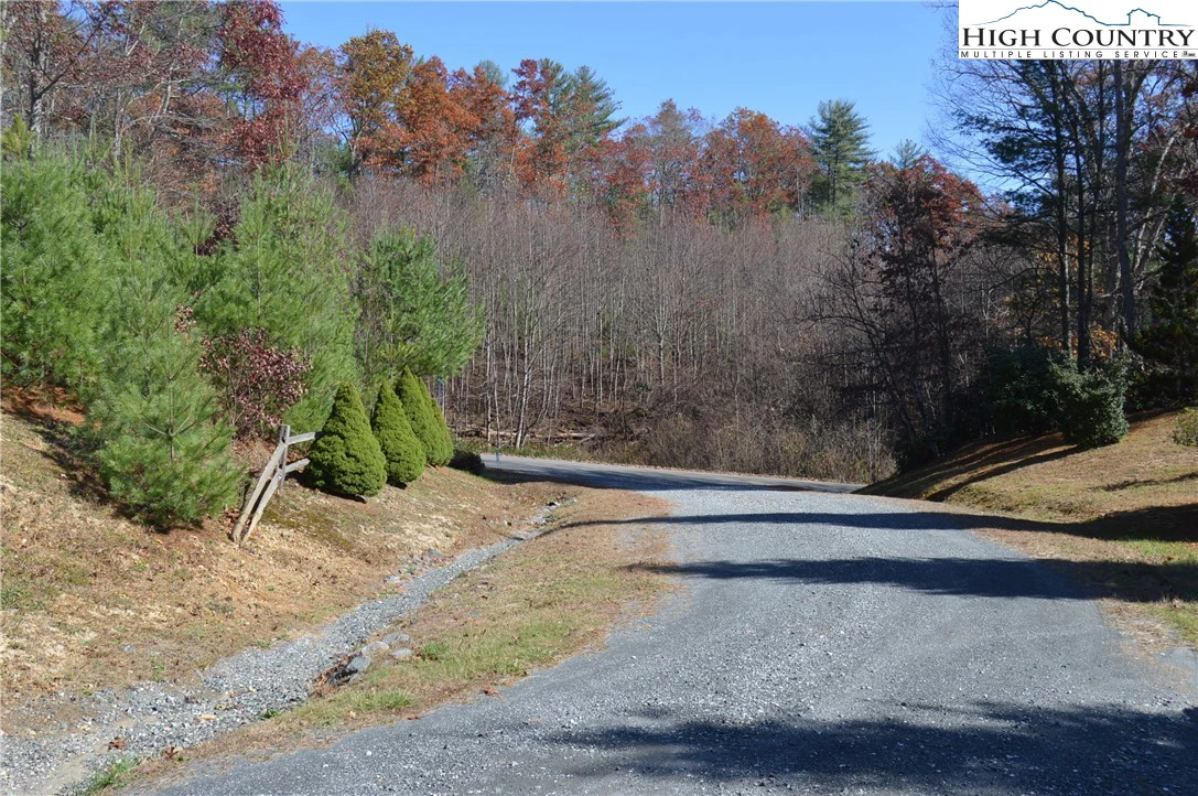Image number 5 for the current listing
