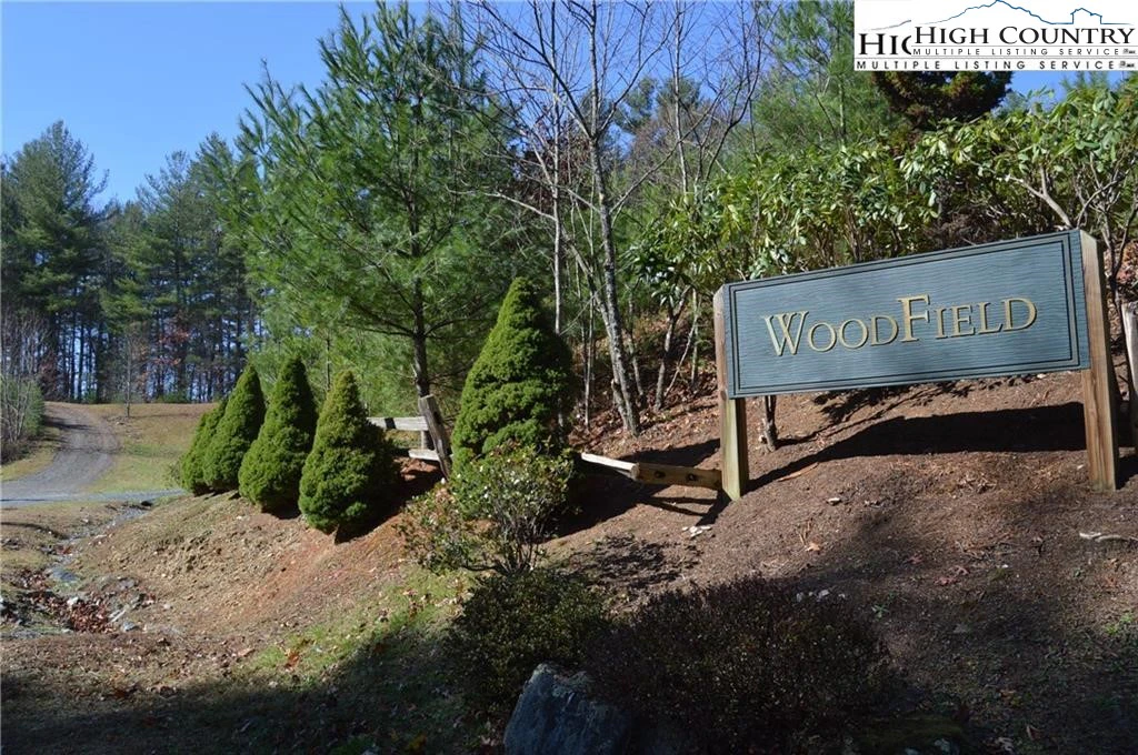 Image number 1 for the current listing