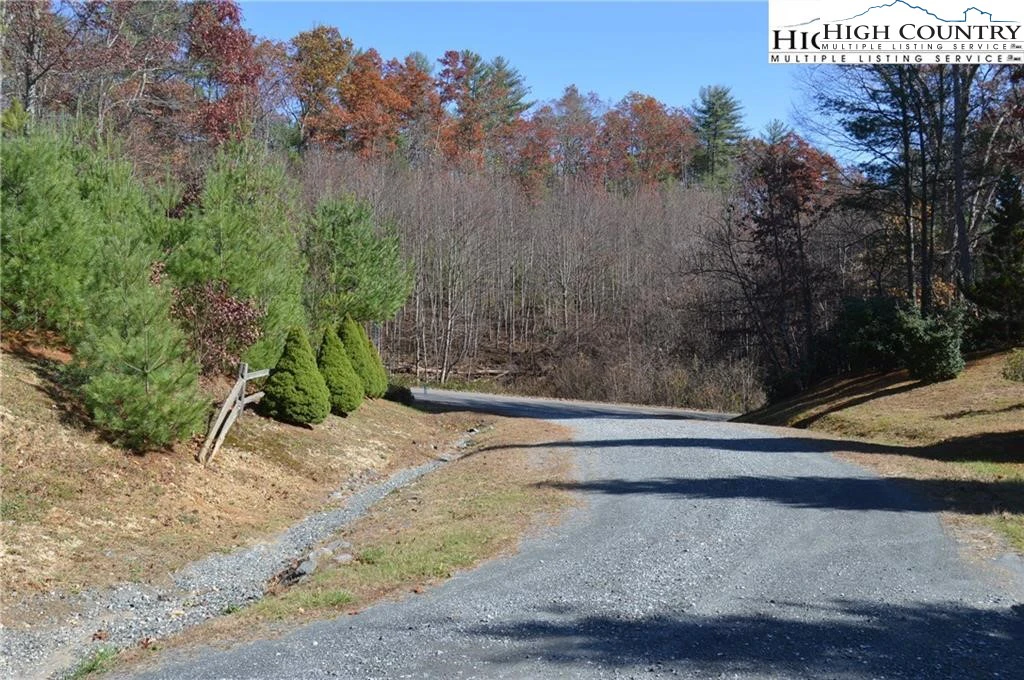 Image number 8 for the current listing