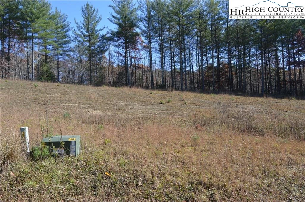 Image number 13 for the current listing