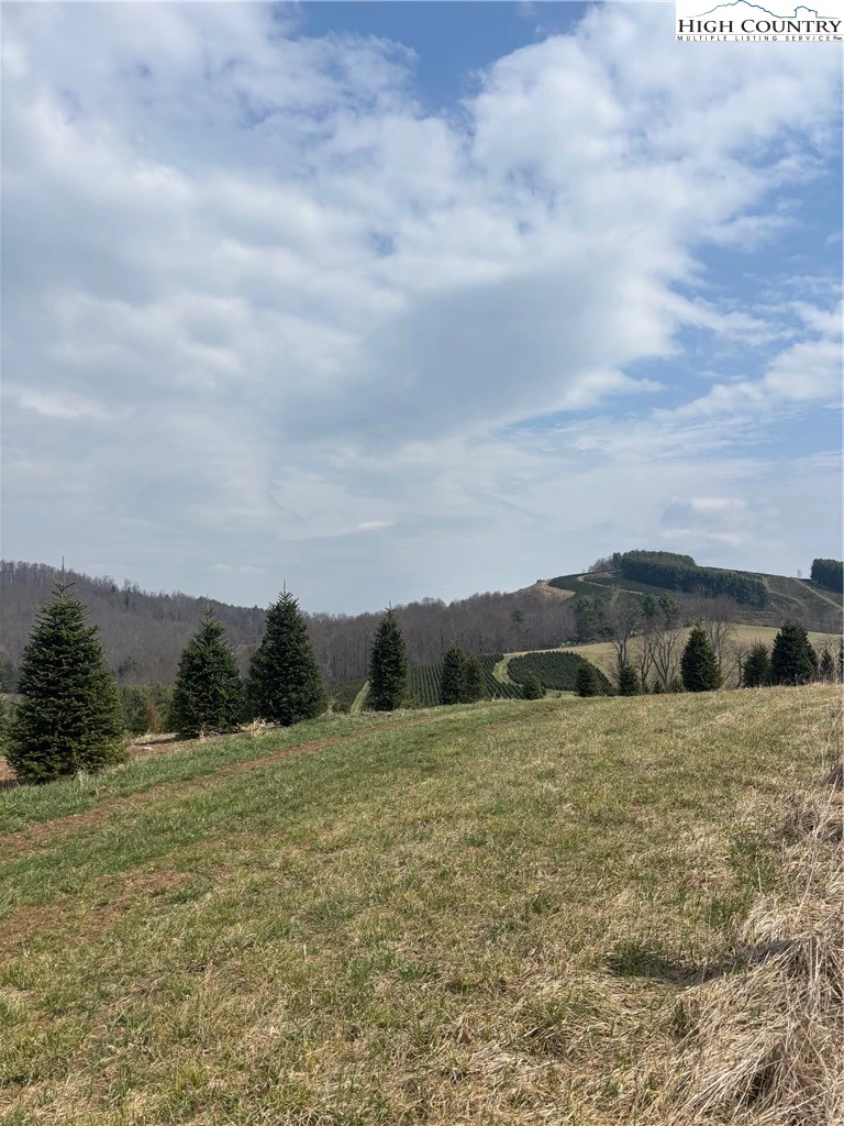 Image number 14 for the current listing