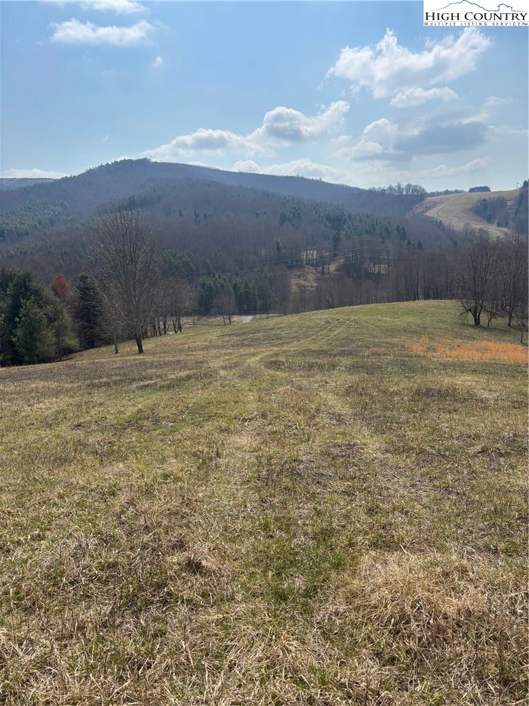 Image number 13 for the current listing