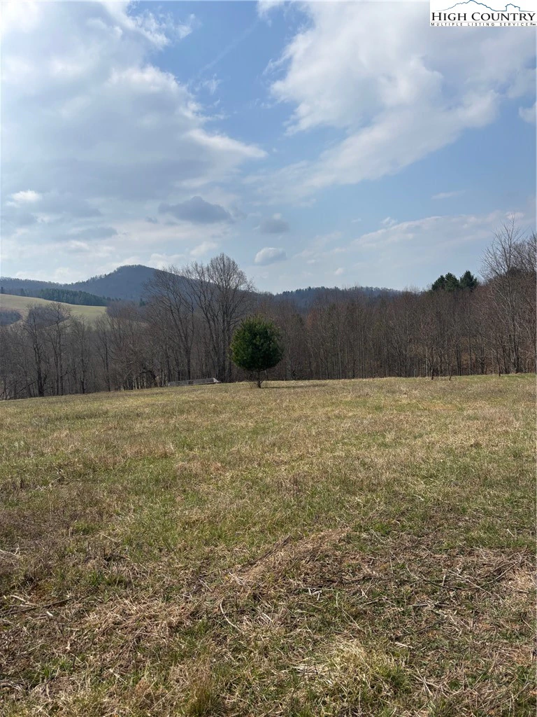 Image number 6 for the current listing