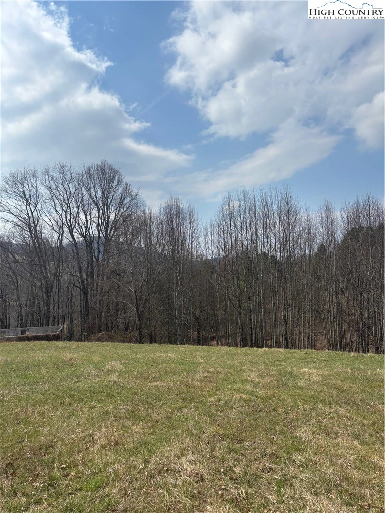 Image number 4 for the current listing