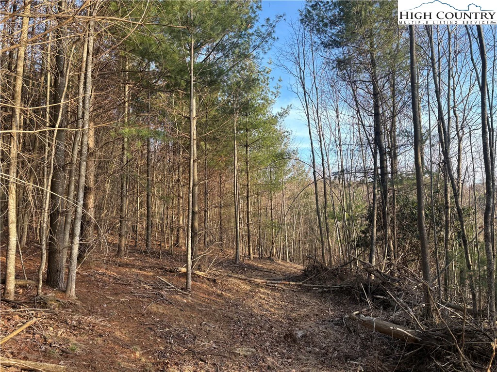 Image number 3 for the current listing