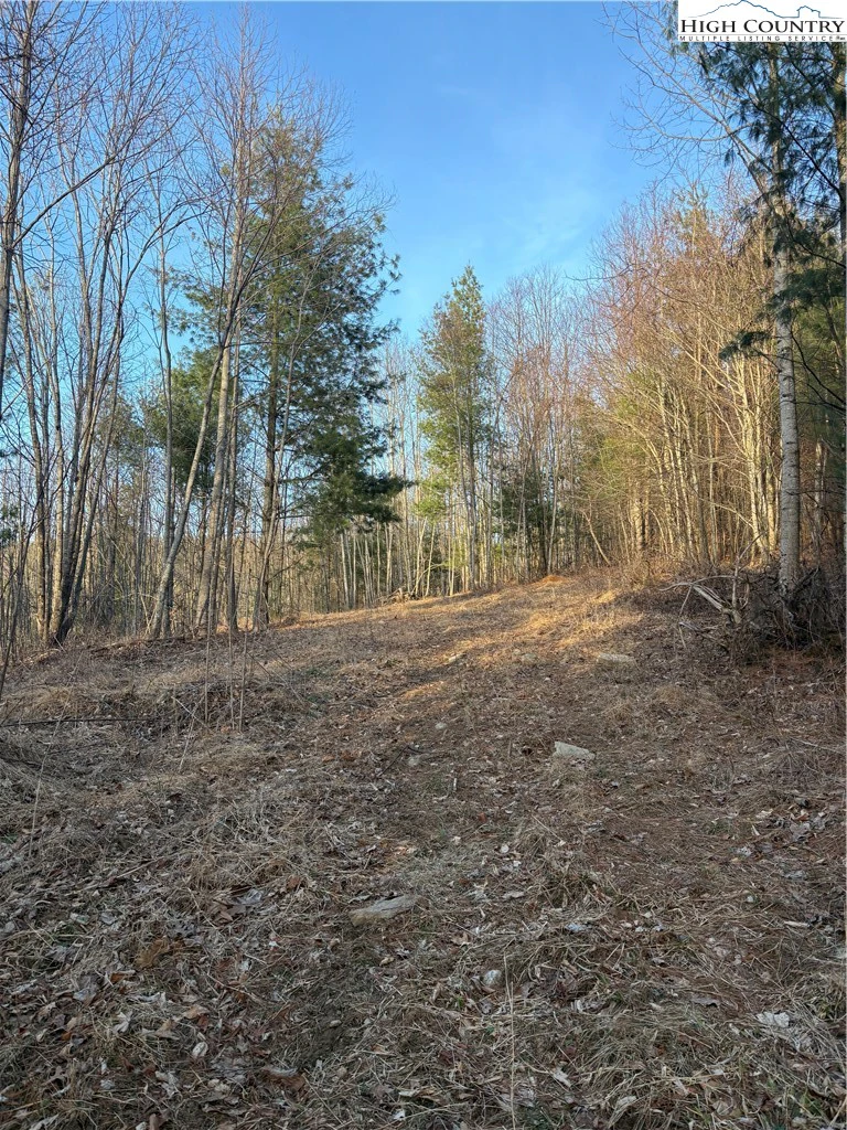 Image number 7 for the current listing