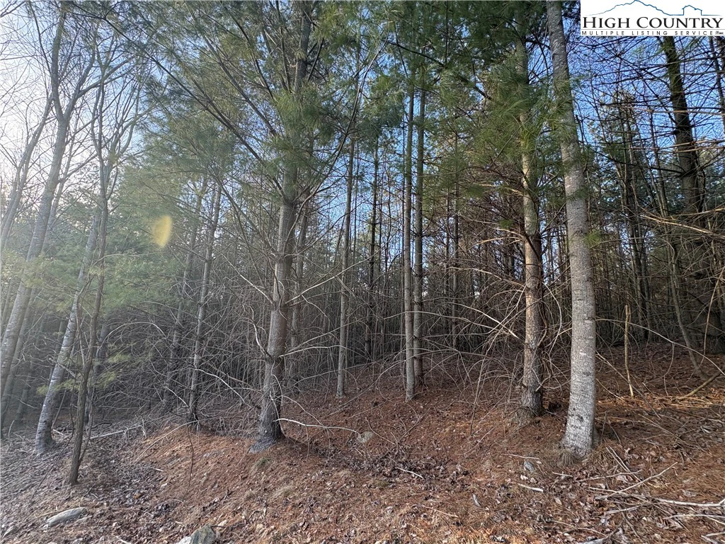 Image number 9 for the current listing