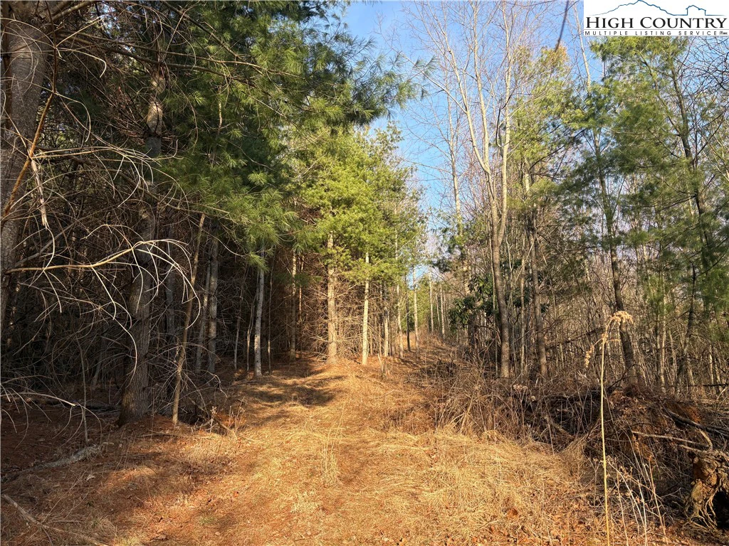 Image number 11 for the current listing