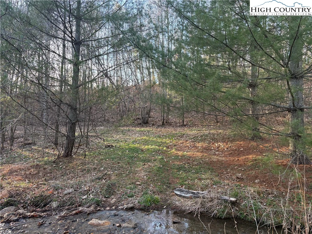 Image number 2 for the current listing