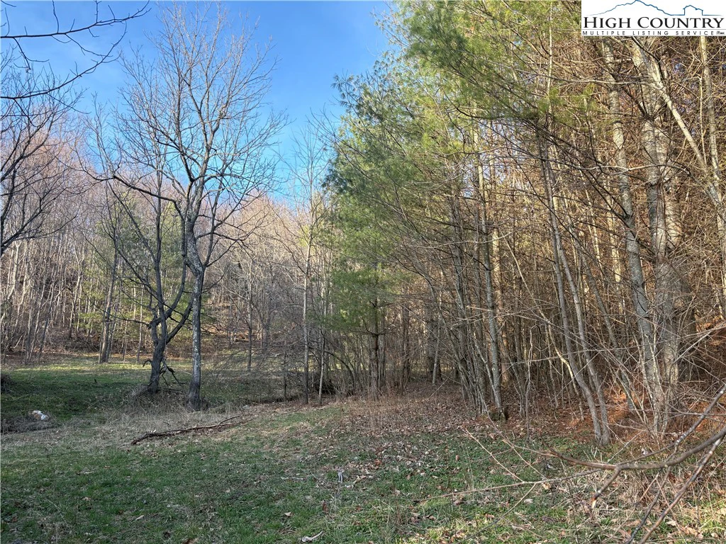 Image number 14 for the current listing