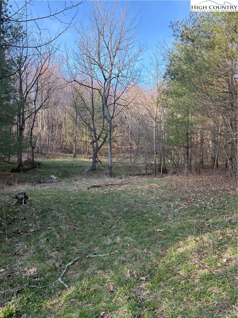 Image number 15 for the current listing
