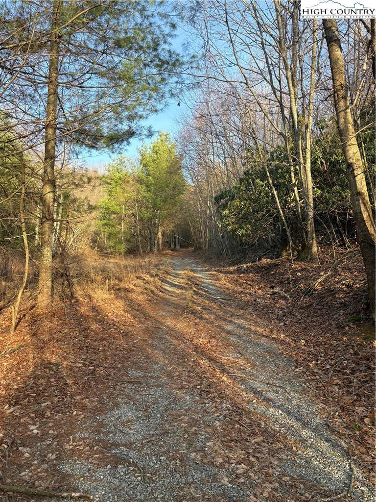 Image number 18 for the current listing